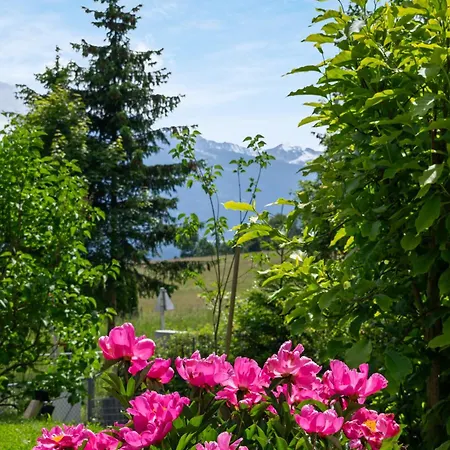 Апартаменти The Mountain View *