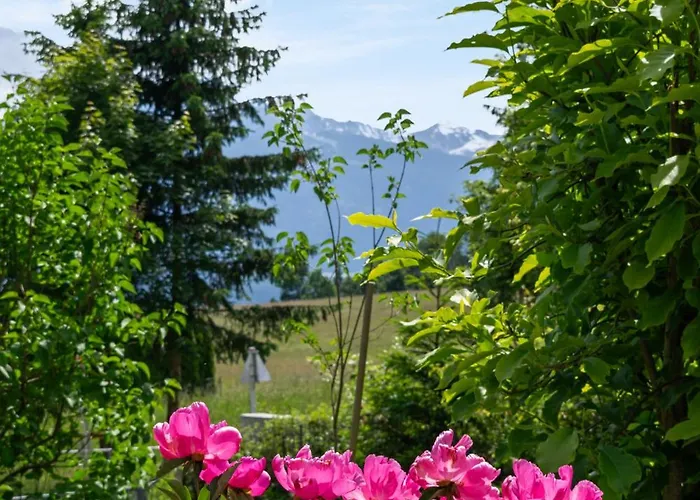 Apartmán The Mountain View *